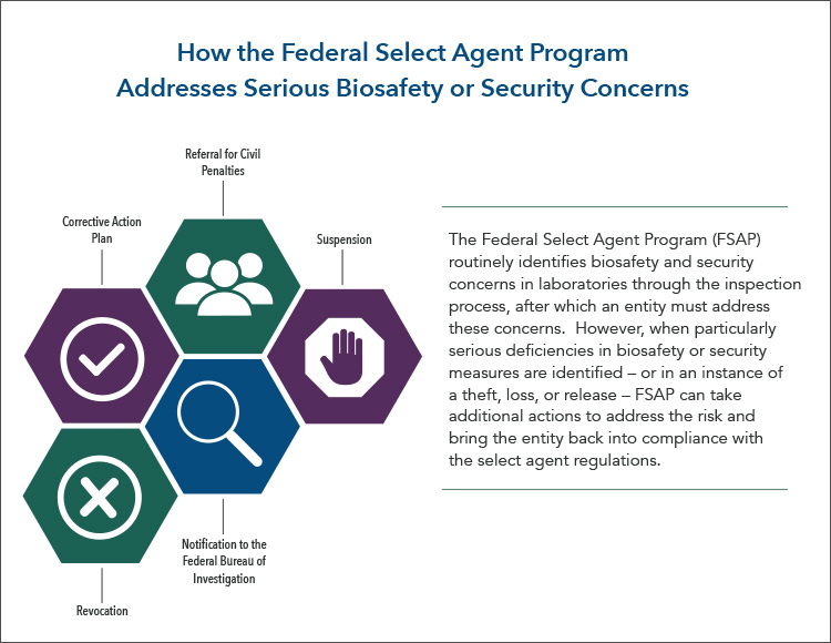 compliance-infographic-1 how the federal select agent program addresses serious bio-safety or security concerns