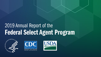 Annual Report 2019 Thumb