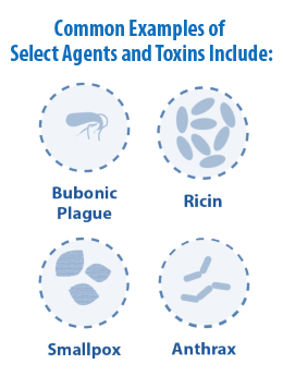 Common Examples of Select Agents and Toxins Include: