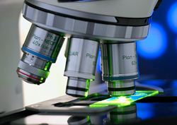 microscope_blog_image microscope blog link image